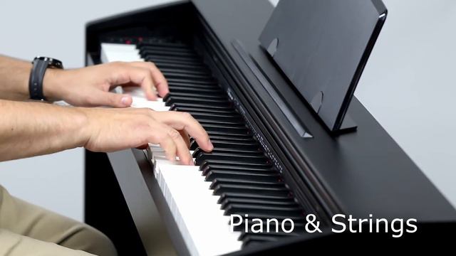 Casio PX-770 Demo Video - Austin Bazaar