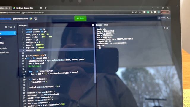 Project 4 Python Sim смотреть онлайн