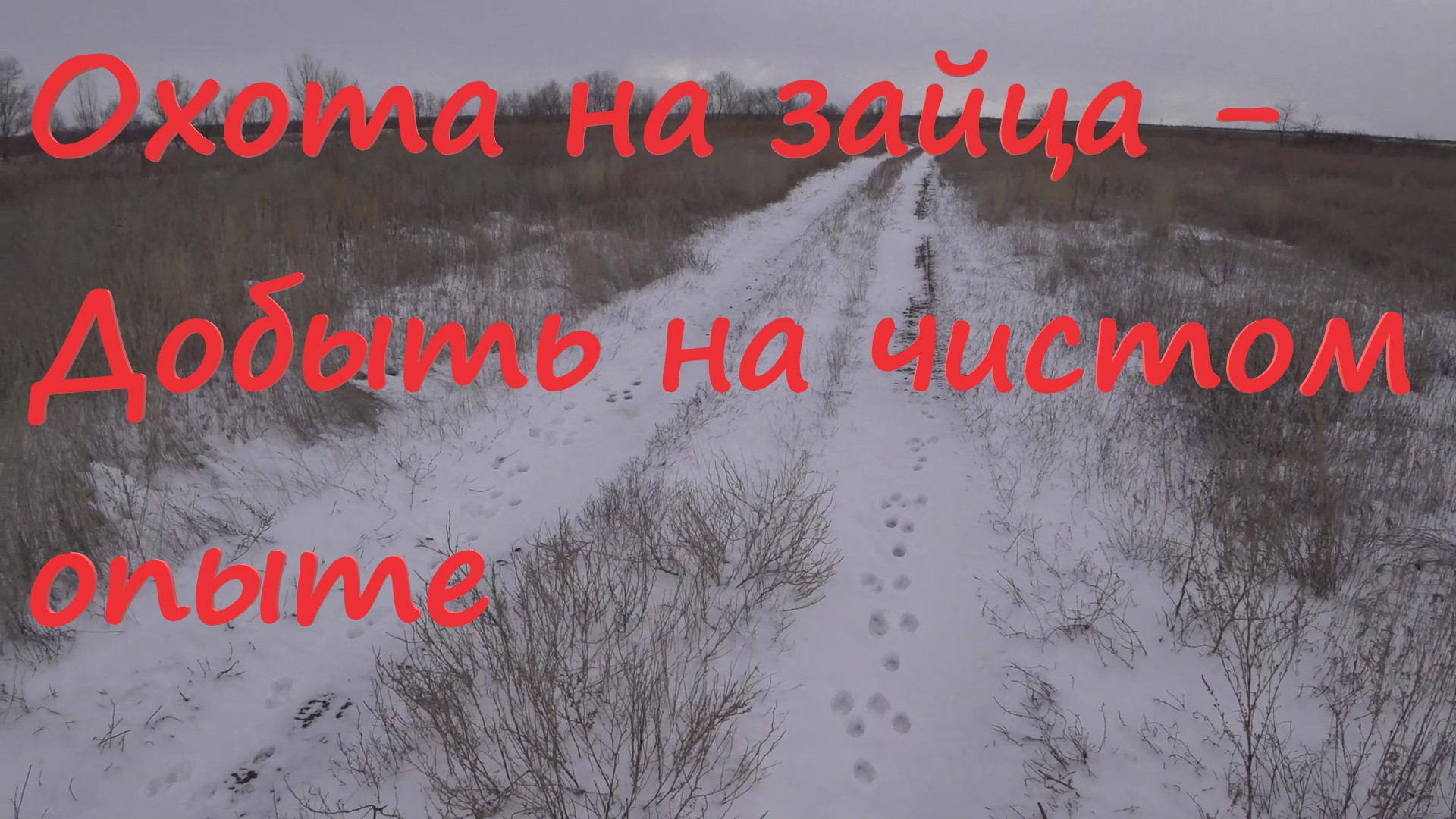 Охота на зайца - Добыть на чистом опыте смотреть онлайн