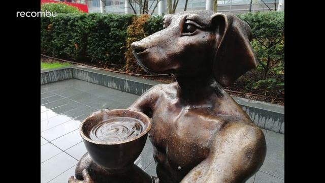 Huawei P20 Lite Camera Review: No Leica, No Likey? смотреть онлайн