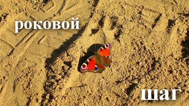 Бредбери Р. И грянул гром