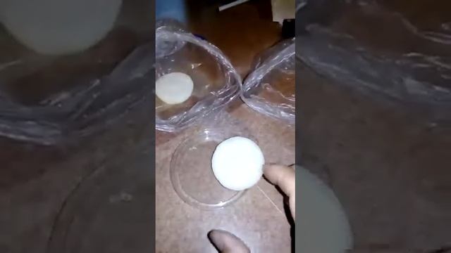 Лук от семи недуг. смотреть онлайн