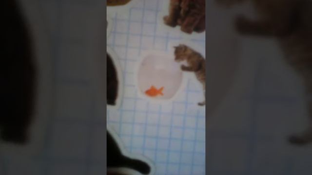 Наклейки для любителей наклеек