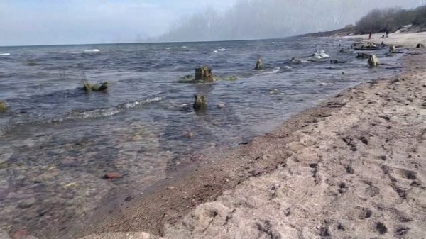 Зеленоградск.mp4