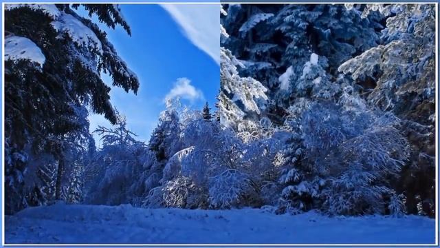 Письмо Деду Морозу смотреть онлайн
