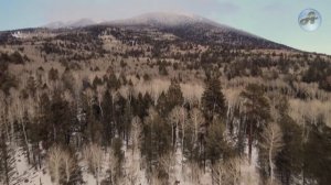 Страшная Ночь в Таежной Избушке. Случай в тайге.