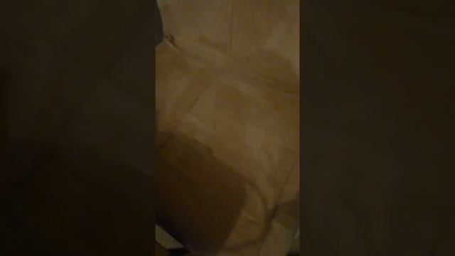 Чем отмыть диван - пластины BioTrim против фломастеров, чернил и других пятен смотреть онлайн