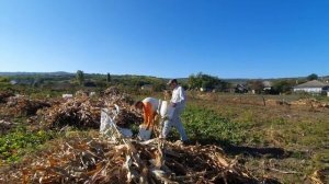 Ты,седина,жаль,что видна. _Быстро,очень быстро дни бегут_.