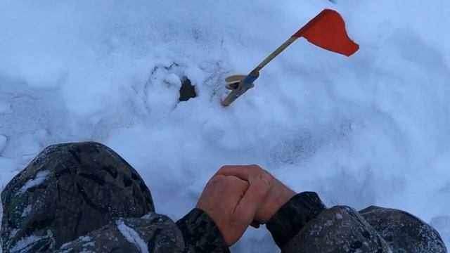 За щукой по опасному льду, ноябрь 2023г. смотреть онлайн