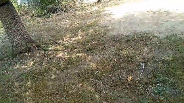 Передний фляк ( переворот вперёд) смотреть онлайн