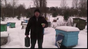 ПЧЁЛЫ ЗИМОЙ КАК ПОИТЬ ПЧЁЛ?