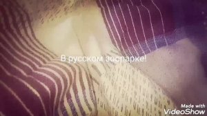 Украина в русском зоопарке - простой мультик.