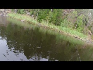 игра воблер TsuYoki Wink 110