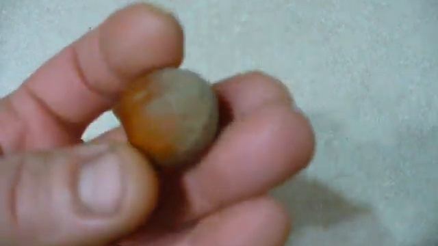 САЖАЕМ фундук ЗИМОЙ. смотреть онлайн