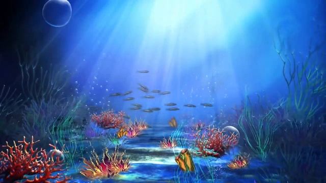 ?? Under the Sea Ocean Coral Reef Scene Animated VJ Loop Video Background for Edits смотреть онлайн
