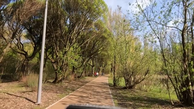 Бродяга пришел в ресторан с малышом, но забыл деньги и оставил сына в залог, а когда вернулся смотреть онлайн