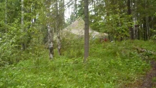п.Ладва-Ветка