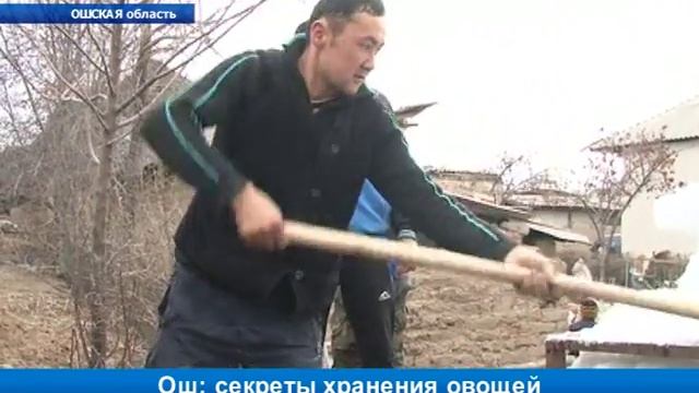 Ош: секреты хранения овощей смотреть онлайн