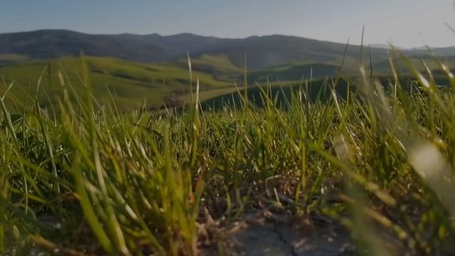 -1,000,000,000 - Загадочный уровень (The Backrooms) смотреть онлайн