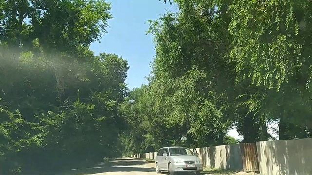 Петровка . Едем на пруд. смотреть онлайн