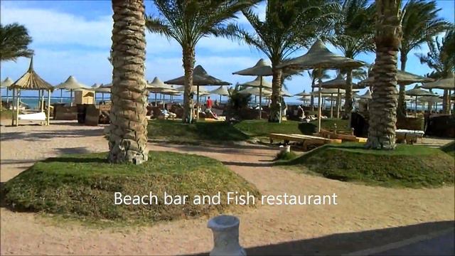 Royal Albatros Moderna hotel смотреть онлайн