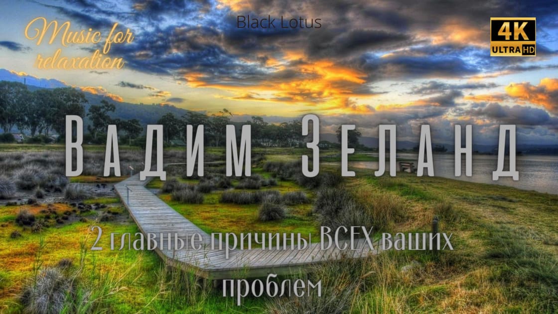 2 главные причины всех ваших проблем Вадим Зеланд.