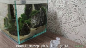 Тест камней для аквариума: итоги