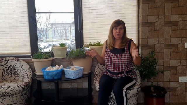 Куры клюют перья выщипывают, расклевывают яйца смотреть онлайн