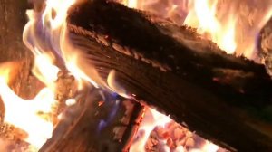 От юности моея... (песнопение)