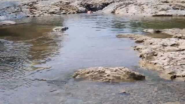 ?Что СЛУЧИЛОСЬ с рекой ПСЕКУПС??? Горячий Ключ. 25.08.2022 г. смотреть онлайн