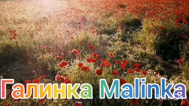 Колесниковы /Обманули и Кинули /Новые подробности про переезд /Обзор Влогов /7-Я Колесниковы / смотреть онлайн