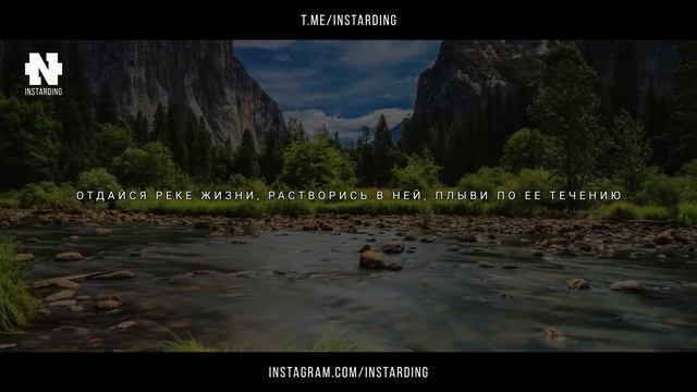 Мудрая притча со скрытым смыслом! Как правильно жить? Смотри до конца! смотреть онлайн