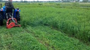 Сенокосилка с трактором донгфенг 244, часть 2