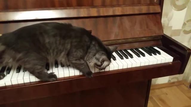 Котя круто играет на фортепиано смотреть онлайн
