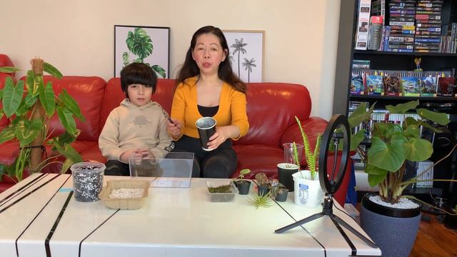 How to build a Terrarium without spending much ~ DIY Terrarium Build ~ Lockdown mini project смотреть онлайн