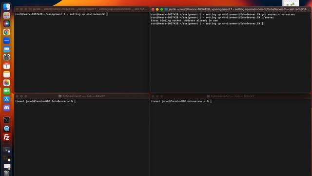 Servers - Java and C смотреть онлайн