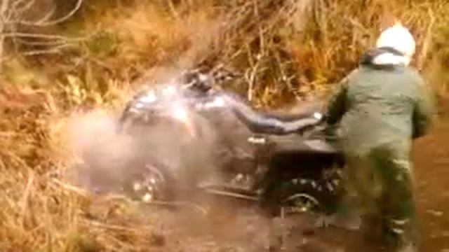 seiklus2009 смотреть онлайн