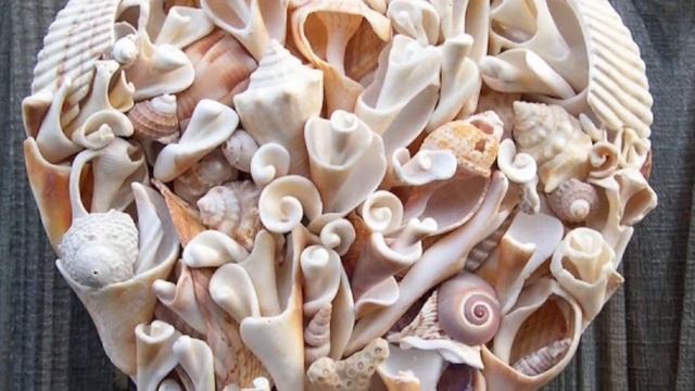 Идеи поделок из ракушек смотреть онлайн