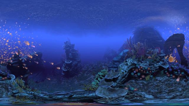 VR 360 Diving 🐟 Whale, Jellyfish & Turtles