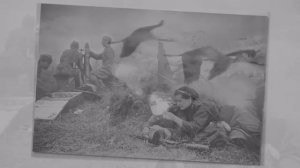 журавли ( минус для школы)