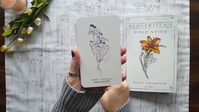 The Hedgewitch Botanical Oracle (unboxing & impressions) смотреть онлайн