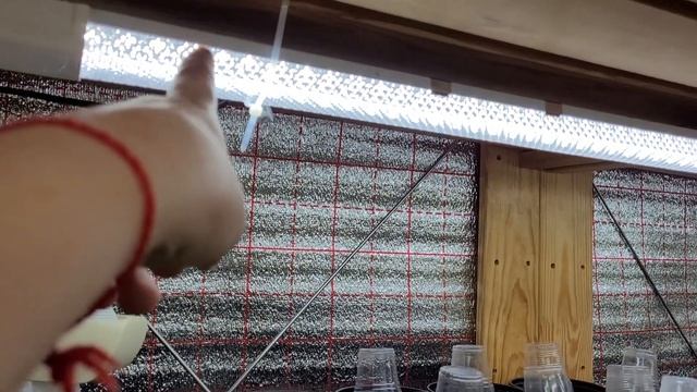 СТЕЛЛАЖИ ИКЕЯ ОБЗОР ГЛОКСИНИЙ СОРТОВЫХ КЛУБНИ И СЕЯНЦЫ РАССКАЗ О СТЕЛЛАЖЕ И ЛАМПАХ21.02.22 смотреть онлайн