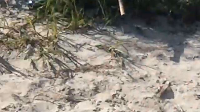 Рыбалка на живца смотреть онлайн