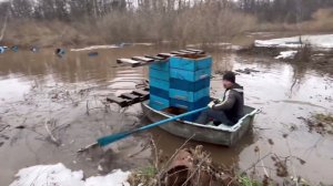 Затопило матковыводной точек, пришла вода, пчелы не пострадали