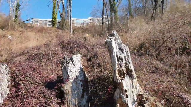 снт Ландыш. участок 110 смотреть онлайн