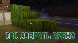 Как правильно собрать арбуз в Майнкрафт