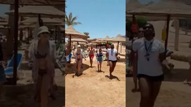 TAMRA BEACH RESORT. Анимация. Бачата с @midogamal94617 смотреть онлайн