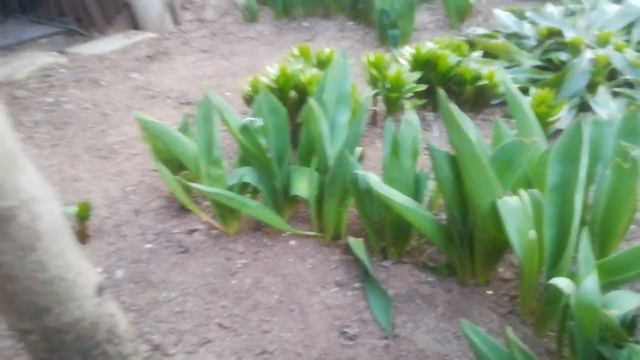 Николаев 21 марта 2022 г. вечер смотреть онлайн