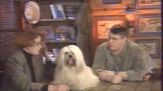 Лхаса апсо на телевидении Lhasa Apso смотреть онлайн