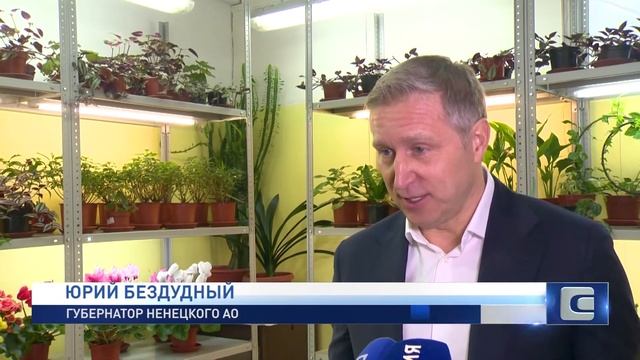 ОАЗИС В ТУНДРЕ смотреть онлайн